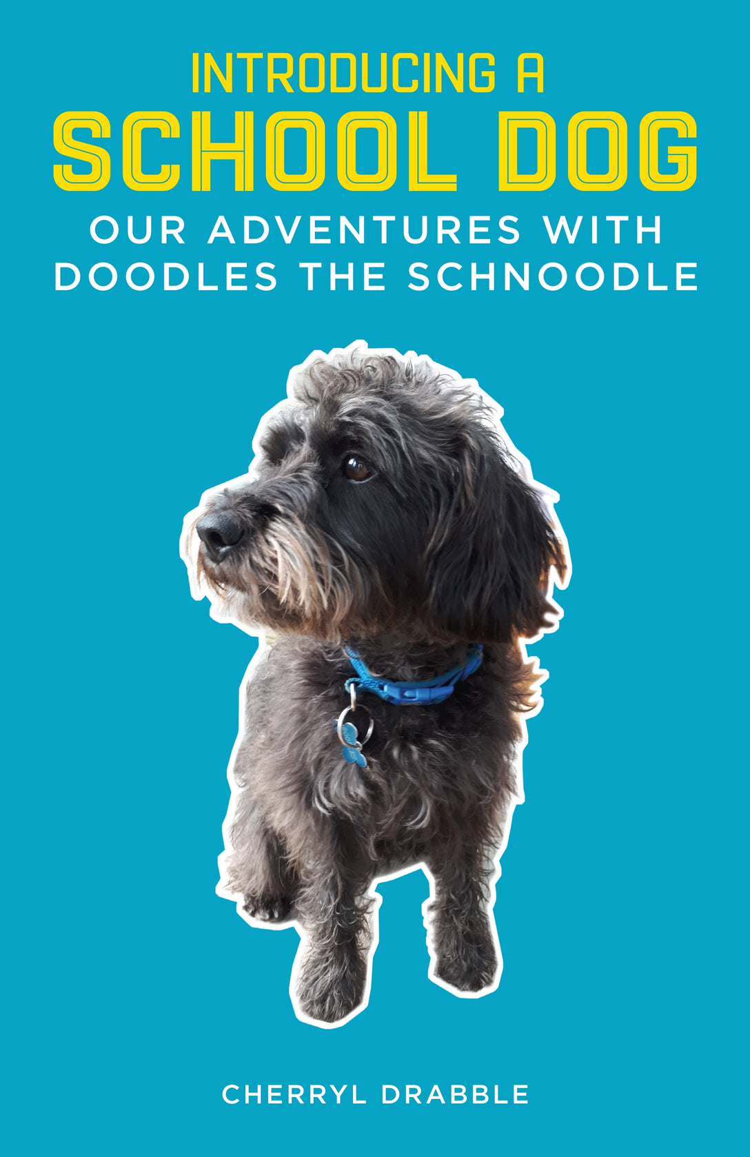 Introducing a School Dog by Cherryl Drabble