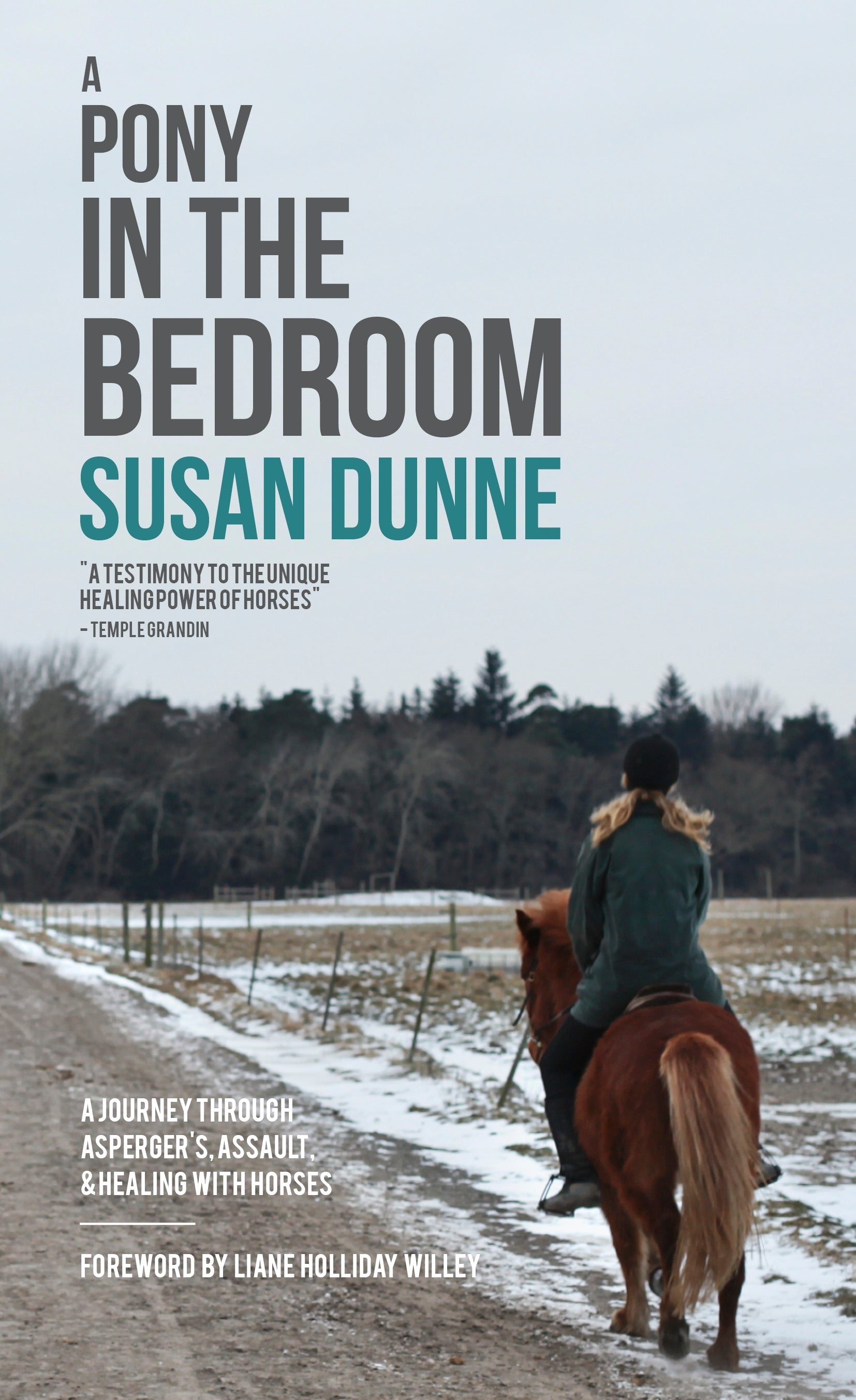 A Pony in the Bedroom by Susan Dunne, Liane Holliday Willey